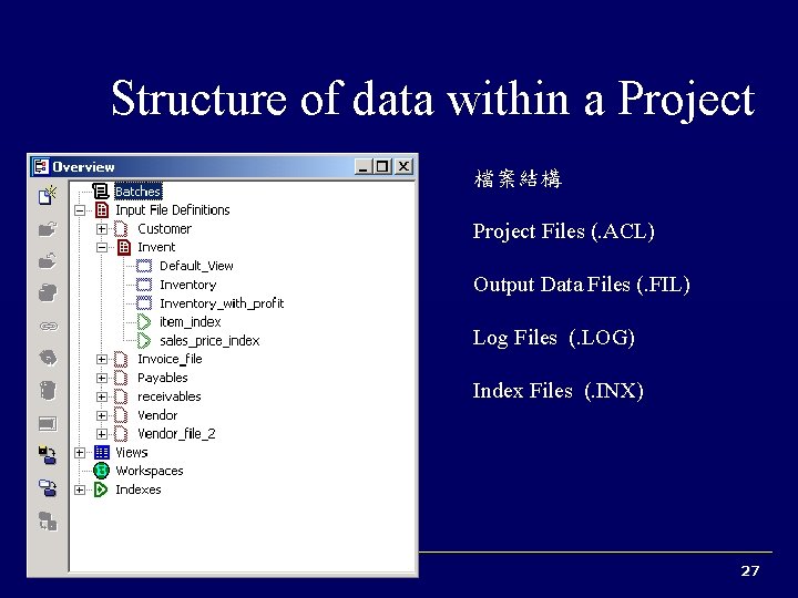 Structure of data within a Project 檔案結構 Project Files (. ACL) Output Data Files