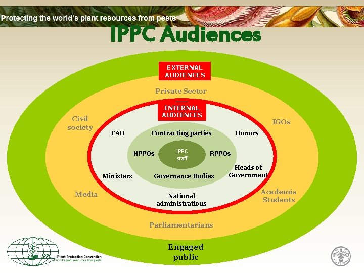 IPPC Audiences EXTERNAL AUDIENCES Private Sector Civil society INTERNAL AUDIENCES FAO Contracting parties NPPOs