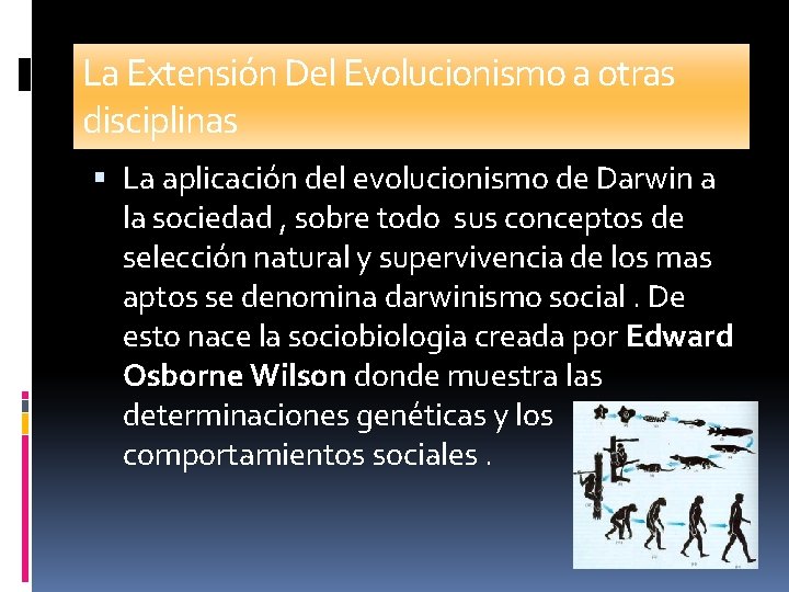 La Extensión Del Evolucionismo a otras disciplinas La aplicación del evolucionismo de Darwin a La Extensión Del Evolucionismo a otras disciplinas La aplicación del evolucionismo de Darwin a