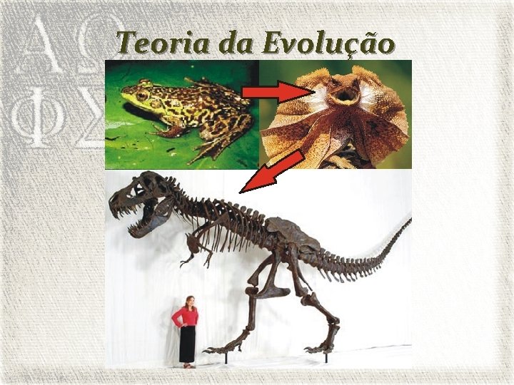 Teoria da Evolução 