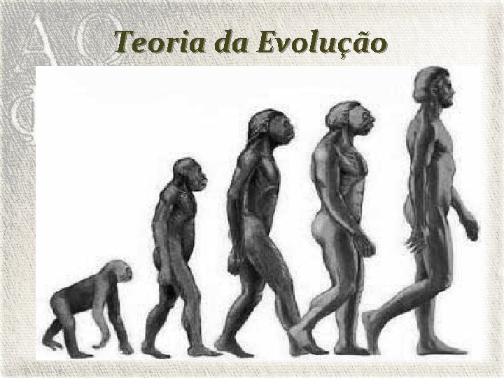 Teoria da Evolução 