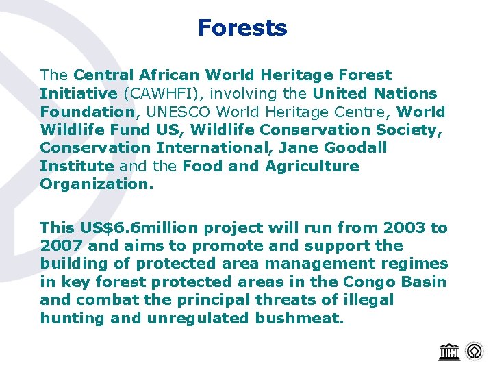 Forests The Central African World Heritage Forest Initiative (CAWHFI), involving the United Nations Foundation,