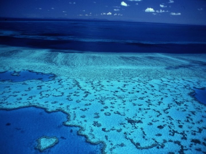 The Great Barrier Reef, Australia 