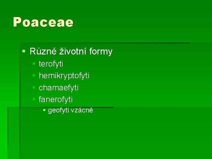 Poaceae § Různé životní formy § terofyti § hemikryptofyti § chamaefyti § fanerofyti §