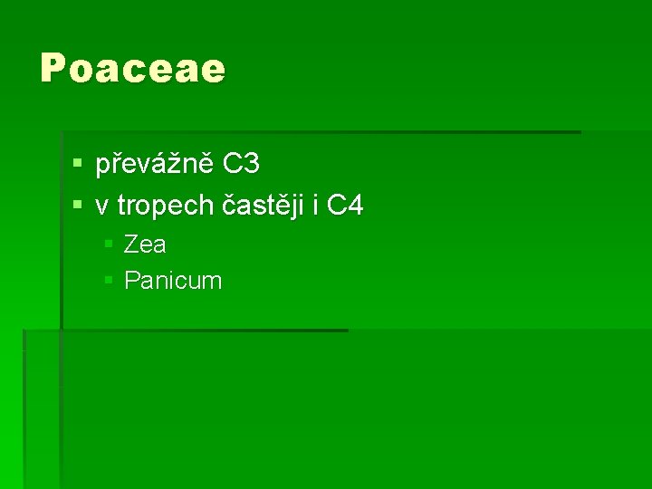 Poaceae § převážně C 3 § v tropech častěji i C 4 § Zea