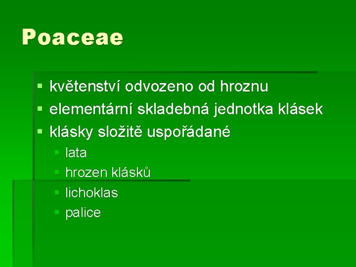 Poaceae § § § květenství odvozeno od hroznu elementární skladebná jednotka klásek klásky složitě