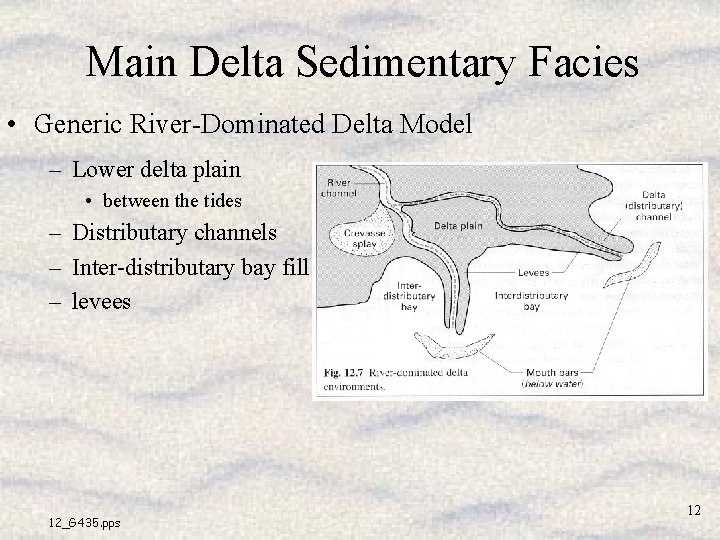 Main Delta Sedimentary Facies • Generic River-Dominated Delta Model – Lower delta plain • Main Delta Sedimentary Facies • Generic River-Dominated Delta Model – Lower delta plain •