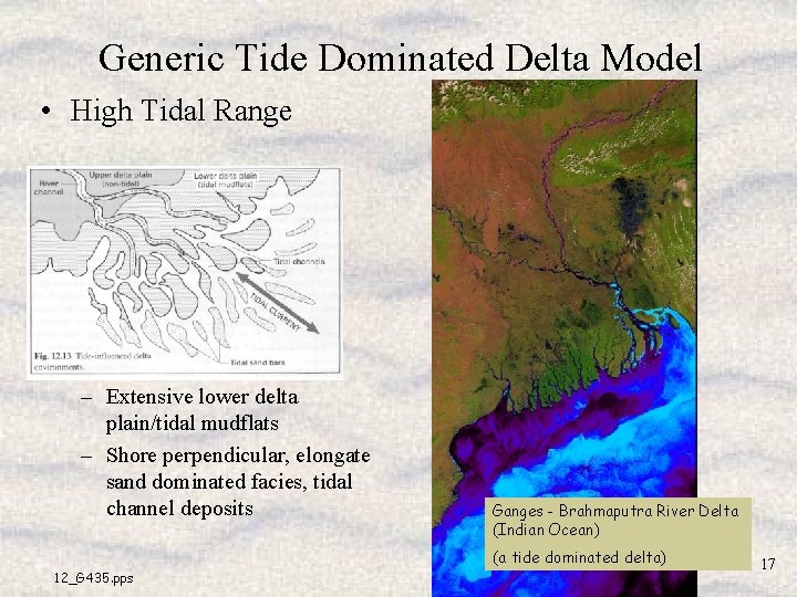 Generic Tide Dominated Delta Model • High Tidal Range – Extensive lower delta plain/tidal Generic Tide Dominated Delta Model • High Tidal Range – Extensive lower delta plain/tidal