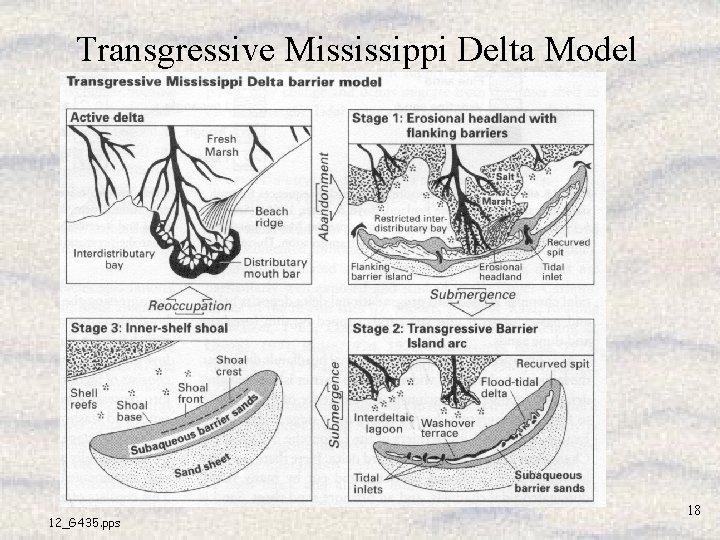 Transgressive Mississippi Delta Model 12_G 435. pps 18 Transgressive Mississippi Delta Model 12_G 435. pps 18