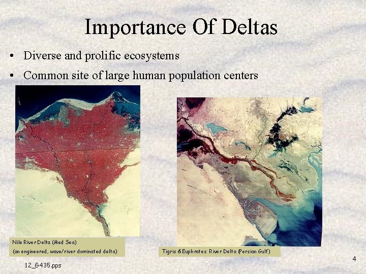Importance Of Deltas • Diverse and prolific ecosystems • Common site of large human Importance Of Deltas • Diverse and prolific ecosystems • Common site of large human