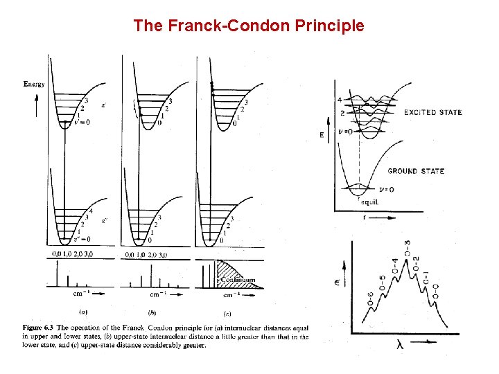 The Franck-Condon Principle 