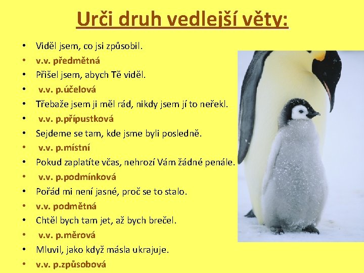 Urči druh vedlejší věty: • • • • Viděl jsem, co jsi způsobil. v.