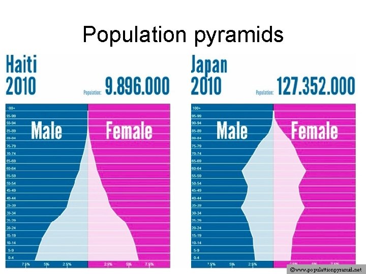 Population pyramids ©www. populattionpyramid. net 