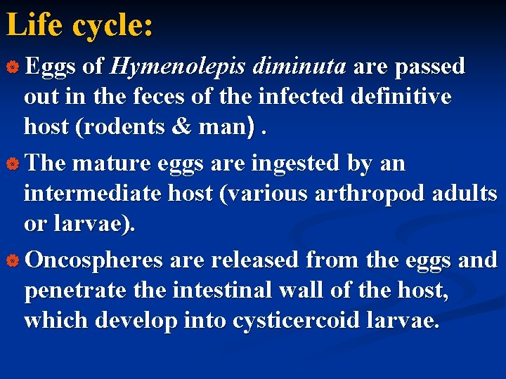 Life cycle: | Eggs of Hymenolepis diminuta are passed out in the feces of