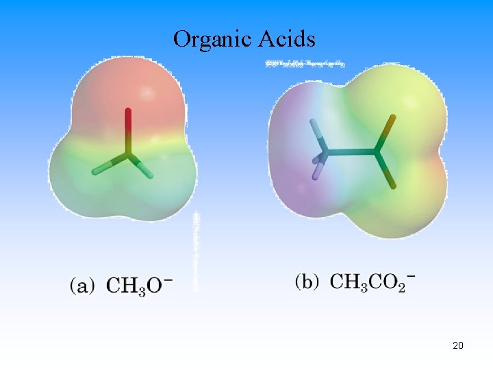 Organic Acids 20 