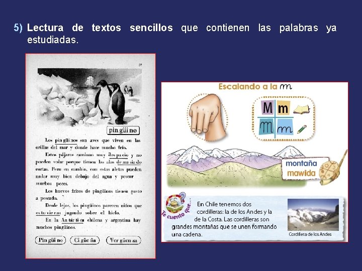 5) Lectura de textos sencillos que contienen las palabras ya estudiadas. 