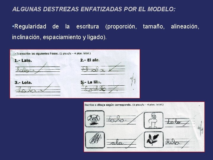 ALGUNAS DESTREZAS ENFATIZADAS POR EL MODELO: • Regularidad de la escritura (proporción, inclinación, espaciamiento
