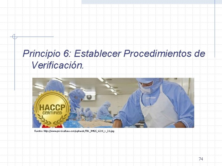 Principio 6: Establecer Procedimientos de Verificación. Fuente: http: //www. porcicultura. com/uploads/TBL_IMGS_6220_1_33. jpg 74 