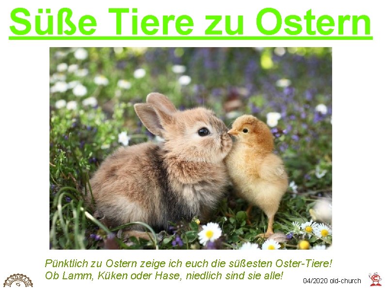 Süße Tiere zu Ostern Pünktlich zu Ostern zeige ich euch die süßesten Oster-Tiere! Ob
