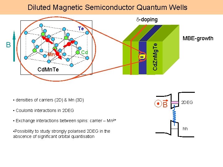 Diluted Magnetic Semiconductor Quantum Wells d-doping Te B Mn Cd Cd. Mn. Te •