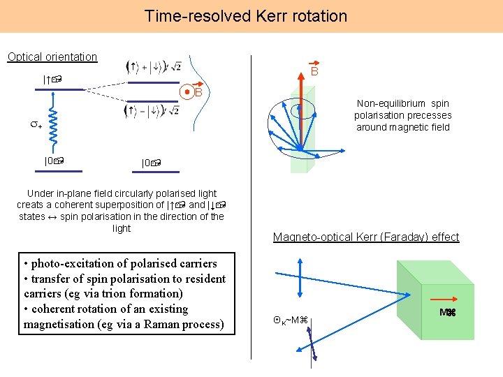 Time-resolved Kerr rotation Optical orientation B |↑ B Non-equilibrium spin polarisation precesses around magnetic