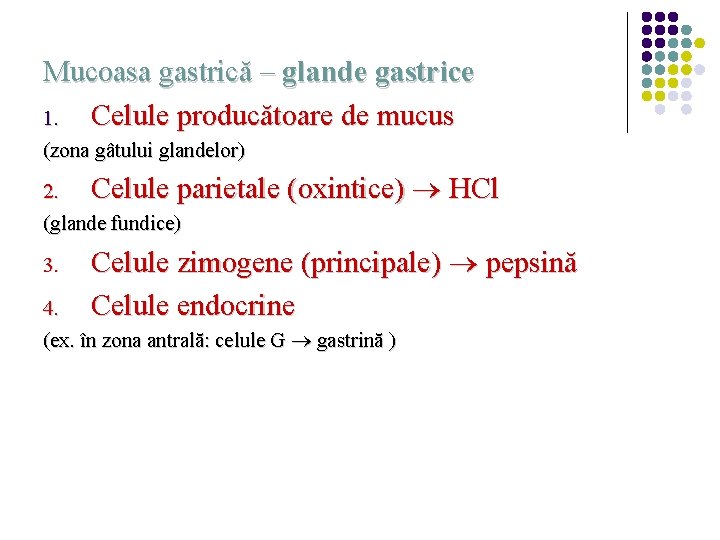 Mucoasa gastrică – glande gastrice 1. Celule producătoare de mucus (zona gâtului glandelor) 2.