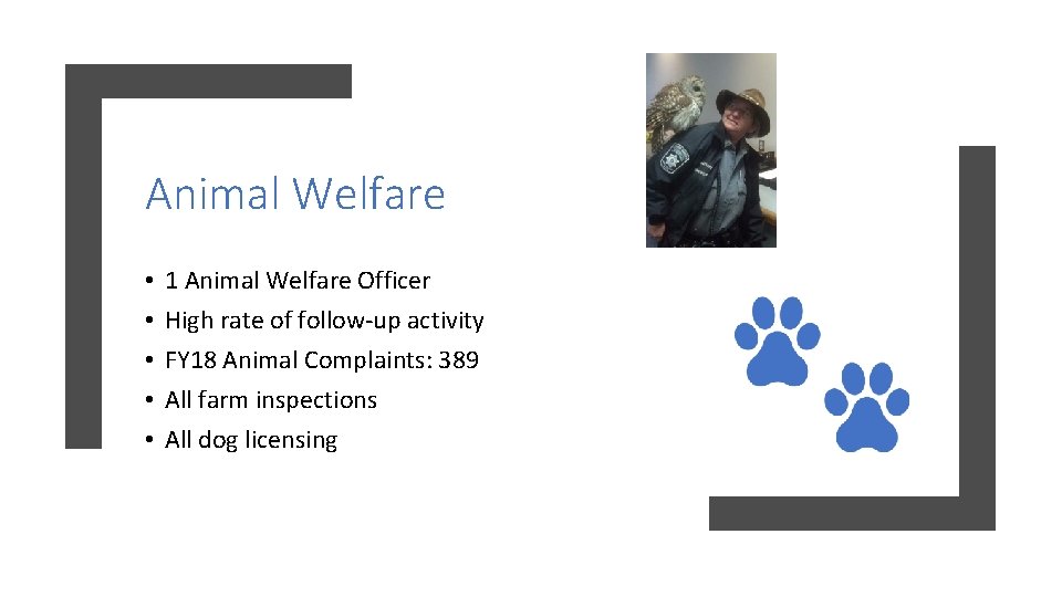 Animal Welfare • • • 1 Animal Welfare Officer High rate of follow-up activity