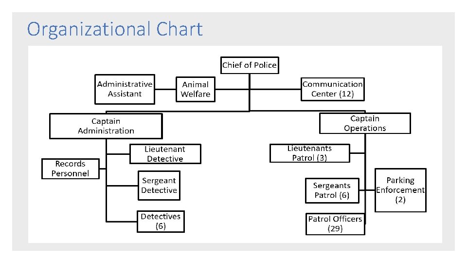 Organizational Chart 