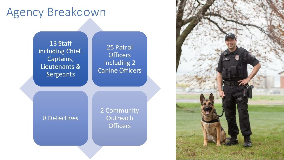 Agency Breakdown 13 Staff including Chief, Captains, Lieutenants & Sergeants 25 Patrol Officers including