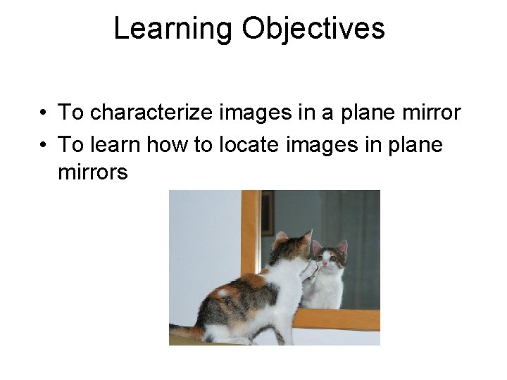 Learning Objectives • To characterize images in a plane mirror • To learn how