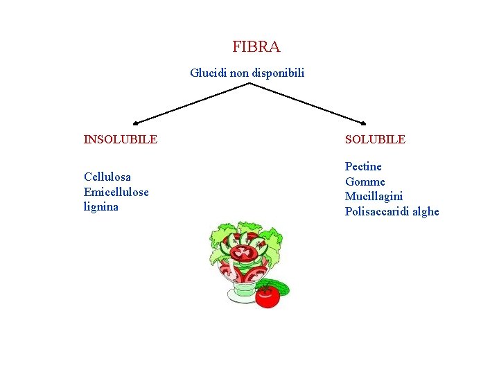 FIBRA Glucidi non disponibili INSOLUBILE Cellulosa Emicellulose lignina Pectine Gomme Mucillagini Polisaccaridi alghe FIBRA Glucidi non disponibili INSOLUBILE Cellulosa Emicellulose lignina Pectine Gomme Mucillagini Polisaccaridi alghe