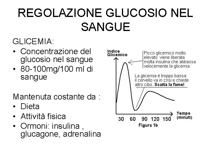 REGOLAZIONE GLUCOSIO NEL SANGUE GLICEMIA: • Concentrazione del glucosio nel sangue • 80 -100 REGOLAZIONE GLUCOSIO NEL SANGUE GLICEMIA: • Concentrazione del glucosio nel sangue • 80 -100