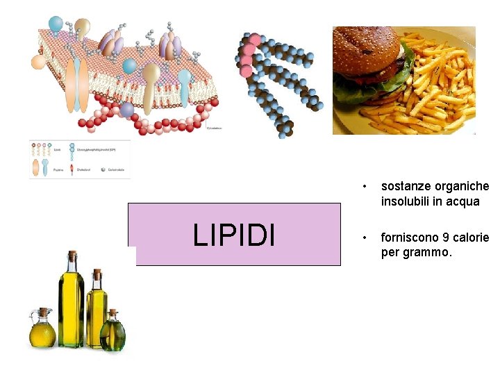 LIPIDI • sostanze organiche insolubili in acqua • forniscono 9 calorie per grammo. LIPIDI • sostanze organiche insolubili in acqua • forniscono 9 calorie per grammo.