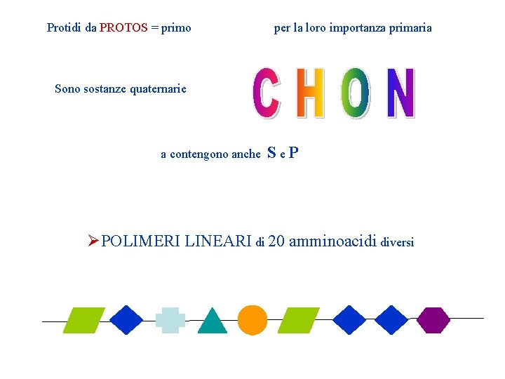Protidi da PROTOS = primo per la loro importanza primaria Sono sostanze quaternarie a Protidi da PROTOS = primo per la loro importanza primaria Sono sostanze quaternarie a