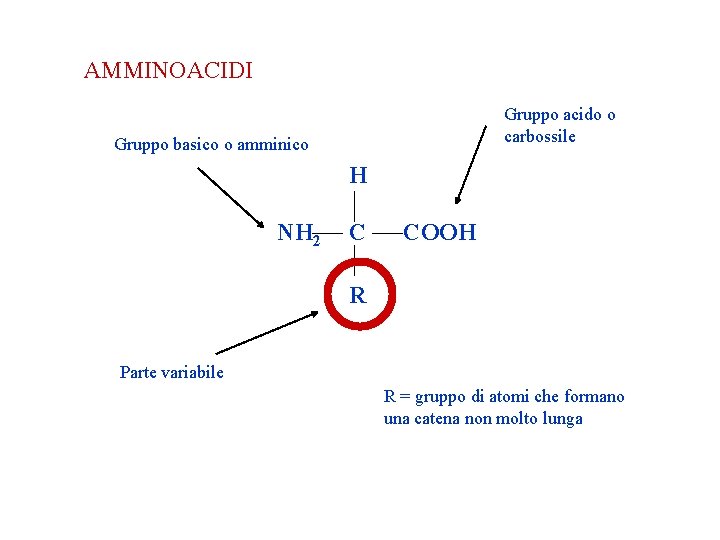AMMINOACIDI Gruppo acido o carbossile Gruppo basico o amminico H NH 2 C COOH AMMINOACIDI Gruppo acido o carbossile Gruppo basico o amminico H NH 2 C COOH