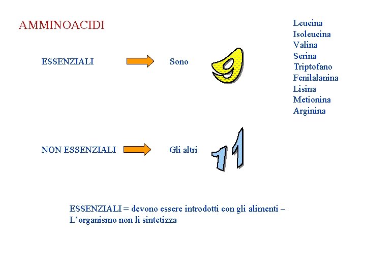 AMMINOACIDI ESSENZIALI Sono NON ESSENZIALI Gli altri ESSENZIALI = devono essere introdotti con gli AMMINOACIDI ESSENZIALI Sono NON ESSENZIALI Gli altri ESSENZIALI = devono essere introdotti con gli