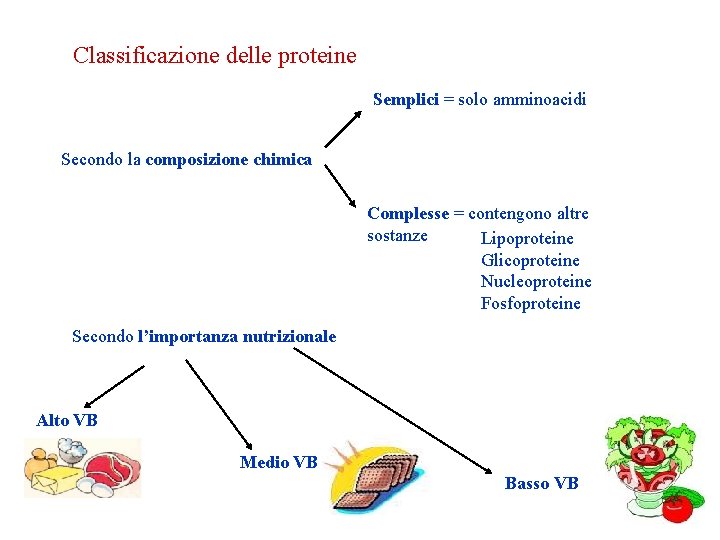 Classificazione delle proteine Semplici = solo amminoacidi Secondo la composizione chimica Complesse = contengono Classificazione delle proteine Semplici = solo amminoacidi Secondo la composizione chimica Complesse = contengono