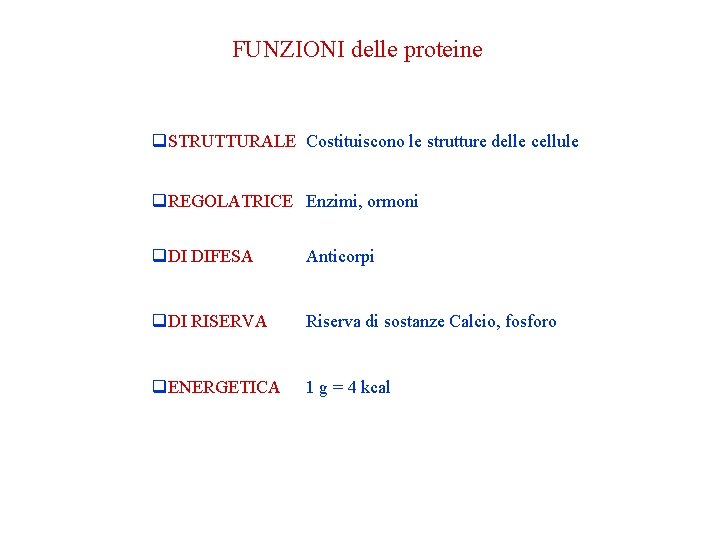 FUNZIONI delle proteine q. STRUTTURALE Costituiscono le strutture delle cellule q. REGOLATRICE Enzimi, ormoni FUNZIONI delle proteine q. STRUTTURALE Costituiscono le strutture delle cellule q. REGOLATRICE Enzimi, ormoni