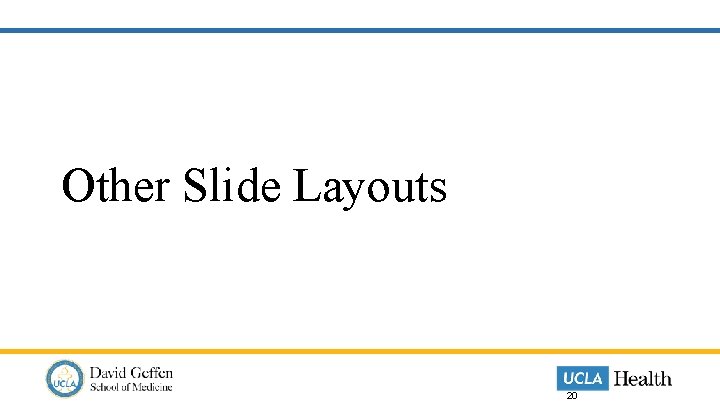 Other Slide Layouts 20 