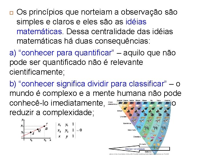 Os princípios que norteiam a observação simples e claros e eles são as idéias