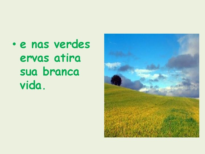  • e nas verdes ervas atira sua branca vida. 