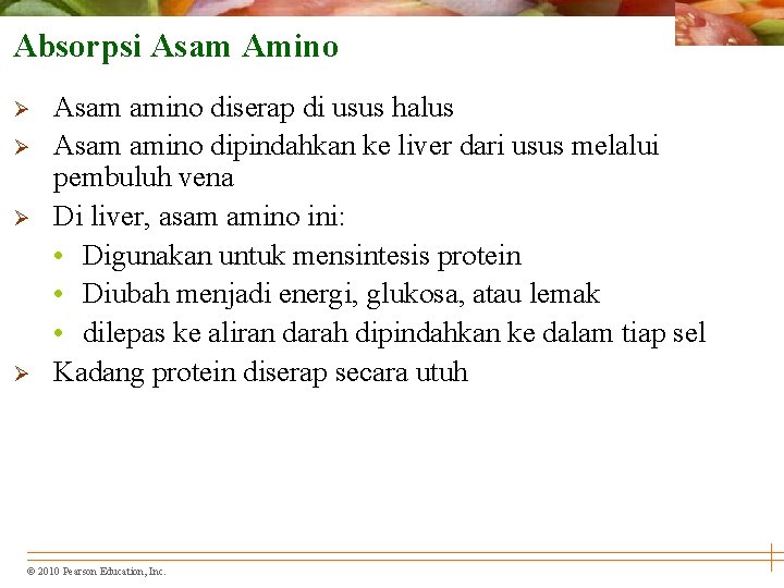Absorpsi Asam Amino Ø Ø Asam amino diserap di usus halus Asam amino dipindahkan