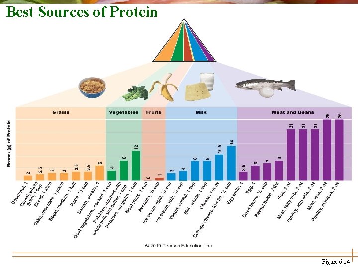 Best Sources of Protein Figure 6. 14 