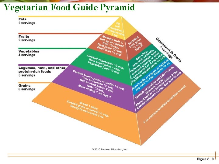 Vegetarian Food Guide Pyramid Figure 6. 18 