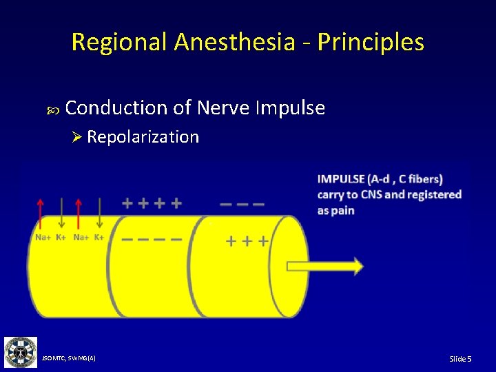 Regional Anesthesia - Principles Conduction of Nerve Impulse Ø Repolarization JSOMTC, SWMG(A) Slide 5