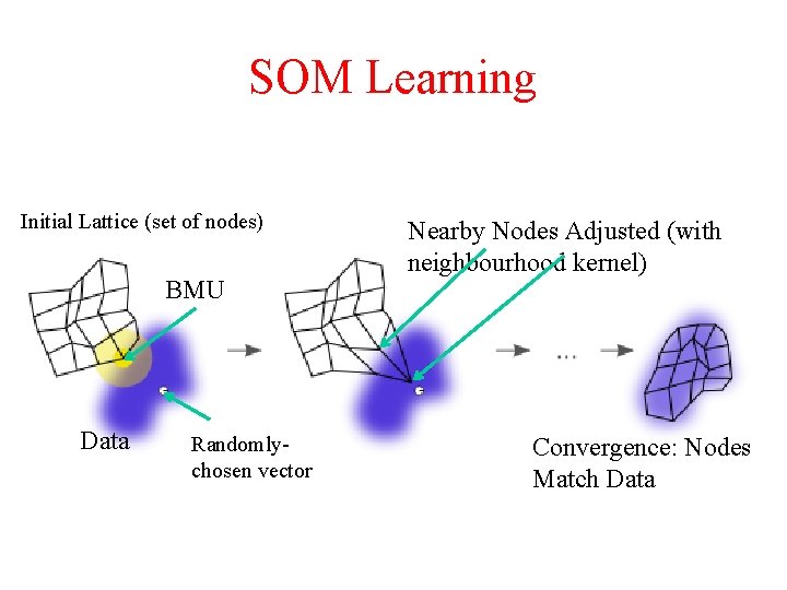 SOM Learning Initial Lattice (set of nodes) BMU Data Randomlychosen vector Nearby Nodes Adjusted