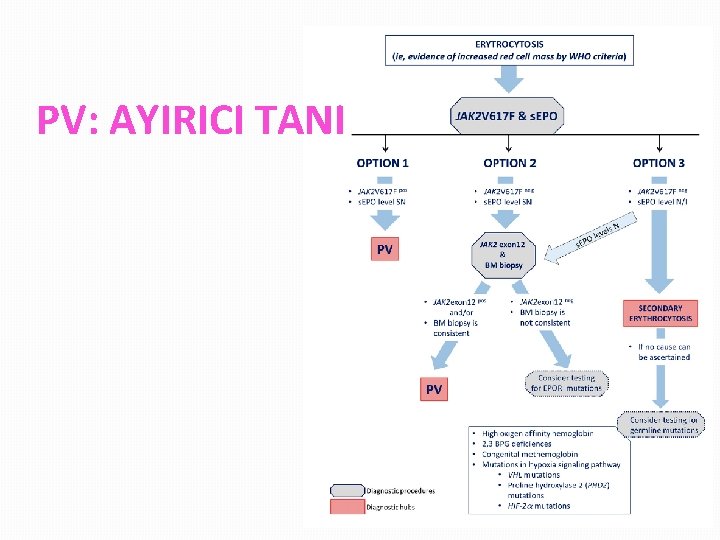 PV: AYIRICI TANI 