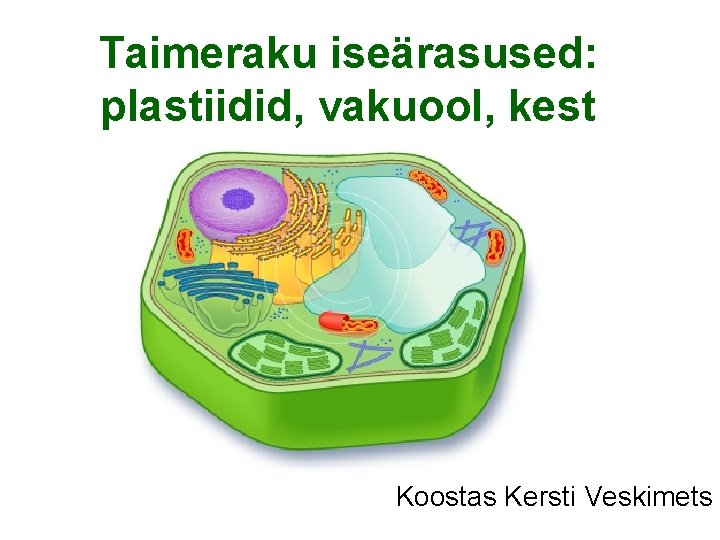 Taimeraku iseärasused: plastiidid, vakuool, kest Koostas Kersti Veskimets 