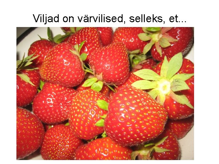 Viljad on värvilised, selleks, et. . . 