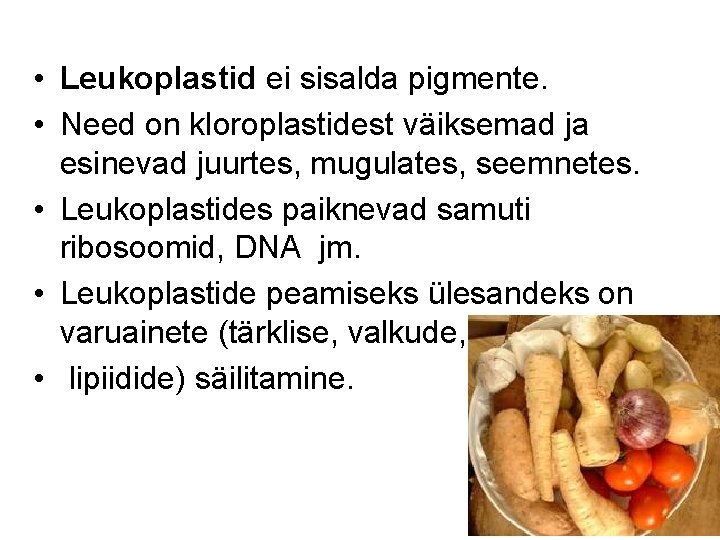  • Leukoplastid ei sisalda pigmente. • Need on kloroplastidest väiksemad ja esinevad juurtes,